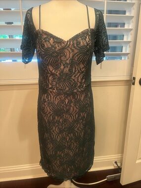 Green Lace Overlay Sheath Dress with Nude Lining